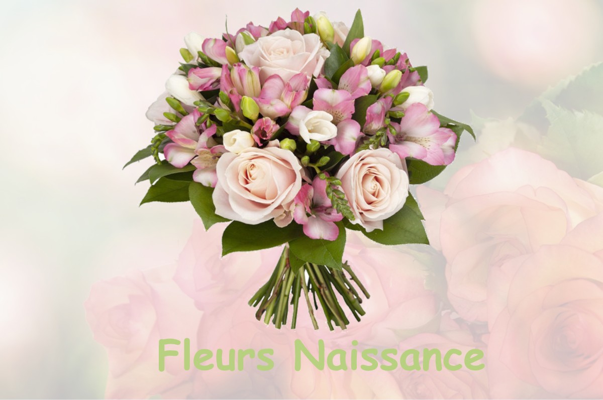fleurs naissance SAINT-MARTIN-L-HEUREUX